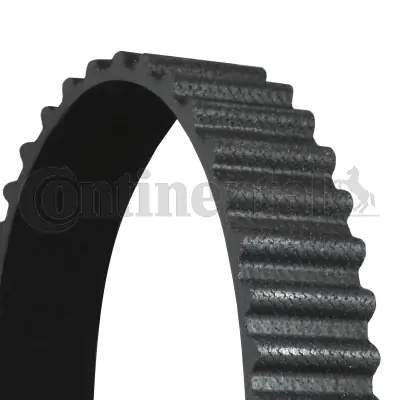 Timing Belt